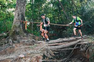 BIB: 
                            <button type="button" onclick="openModal(27305165)" class="btn btn-primary btn-sm float-right btn-popup" data-toggle="modal" data-target=".modal-high-quality">
                        <i class="fas fa-shopping-cart"></i> Add to Cart
                    </button>
                                            <button type="button" onclick="isThisMe(27305165, true)" class="btn btn-success btn-sm float-right btn-popup btn-isme hidden" data-toggle="tooltip" data-placement="bottom" title="นี่คือรูปของคุณใช่ไหม คลิกที่นี่เพื่อเอาเข้าอัลบั้ม">
                        <i class="fas fa-plus"></i> Add to album
                    </button>
                    <button type="button" onclick="isThisMe(27305165, false)" class="btn btn-warning btn-sm float-right btn-popup btn-isnotme hidden">
                        <i class="fas fa-ban"></i> Remove from album
                    </button>